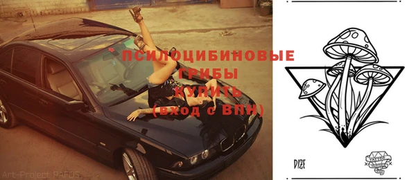 молекула духа Переславль-Залесский