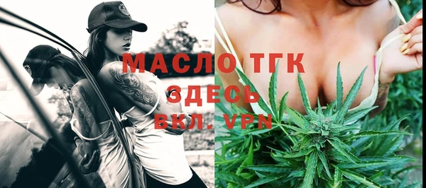 молекула духа Переславль-Залесский