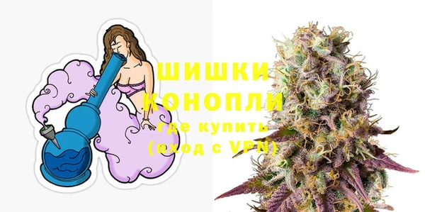 молекула духа Переславль-Залесский